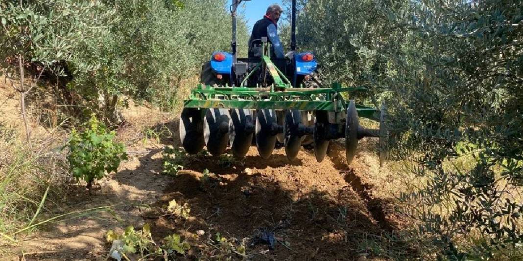 Üreticinin yüzünü güldüren hasat! Rekoltesi düşse de fiyatı zirvede: Rekora koşuyor, 125 TL’den satılıyor 2